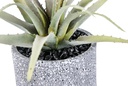 Greenery (4/Cs)